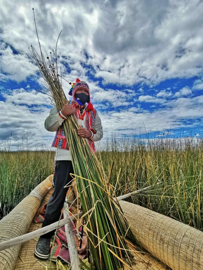 Uros Caminos Del Titicaca Peru Villa Puno Buitenkant foto